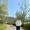 내돈내산 두돌 아기 야외 스냅 촬영 가족 3인 소품, 의상, 장소 러브앤치즈케이크 솔직한 후기