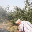 최종만농장 이미지