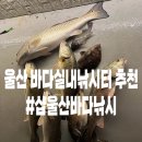 샵울산바다낚시 이미지