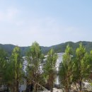 덕이네 펜션&캠핑 이미지