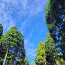 치유의숲 공중화장실 이미지