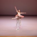 제3주차 "아름다운 발레 이야기" 수업 내용 과 사진 이미지