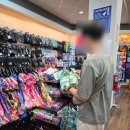 창해투어