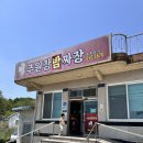 정해해물쟁반짜장 | 공주 맛집 ㅣ 해물이 산더미! 주원장밤짜장 해물쟁반짜장 솔직 후기