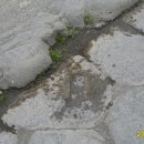 비안세탁소 이미지