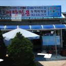 두꺼비어탕
