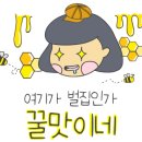 선향충무김밥 이미지
