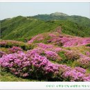 덕두산 Daum카페