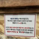 대전아쿠아리움 이미지