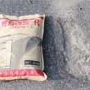 흥진상사 이미지