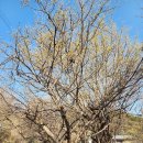 지리산둘레길 22코스(주천-밤재) 이미지