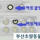 부산초량동물약국 이미지