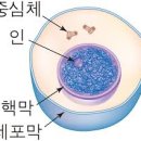 네이버블로그