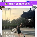 트레일서울157K 서울둘레길 7코스 완주 후기 봉산 앵봉산 난이도