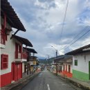 하르딘(Jardin) 이미지