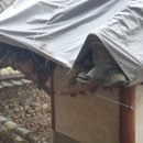 이유 정려각 이미지