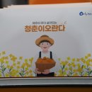청춘이오란다 이미지