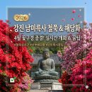 강진-32 | 강진 남미륵사 4월 꽃구경 종결! 철쭉 실시간 개화 상황 및 방문 꿀팁