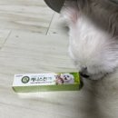 거여서울약국