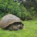 현금농장 이미지