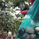 요섭농장 이미지