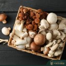 참자연한방병원 이미지