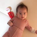 오티비즈