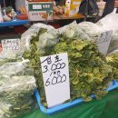 (버스)송탄출장소 이미지