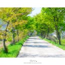 곡성-258 이미지