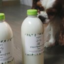 아영목장 이미지