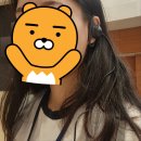 분청사기요지 | 새 나라 새 미술: 조선 전기 미술 대전 방문후기! 국립중앙박물관 특별전시 (관람 해설-1부: 백色의 미...