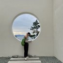 크로스핏 오송 이미지