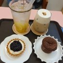 카페솜솜 이미지
