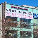 두피·탈모태후사랑하남점 이미지