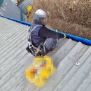 혜인산업개발 이미지