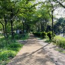 제주플래티늄카라반 이미지