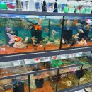 성인용품소매점 이미지