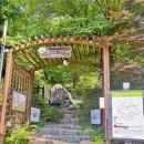 0620(토) 비야 내려라 이미지