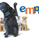 라이코스 이미지