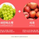샤인농부협동조합 네이버블로그