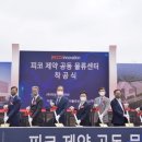 드림네트웍스