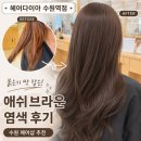애쉬헤어샵 | 수원 헤어샵 애쉬브라운염색 잘하는 곳 헤어다이아 수원역점 방문 후기