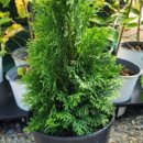 키다리농장 이미지