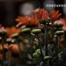 실로암의료재단 이미지