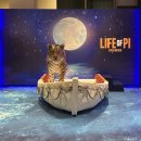 한국라이프 | 연극/뮤지컬 : <라이프 오브 파이〉 한국 초연 박정민 후기 ✍🏻