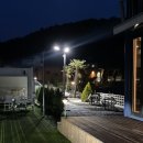 리틀 타이니 하우스 이미지