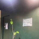 서울미장원 네이버블로그