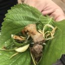 중문동-9 이미지