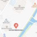 호계자동차종합정비공업사 이미지