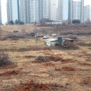 부영서해마트 이미지